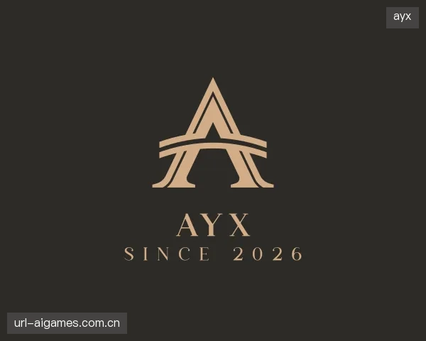 了解ayx团队